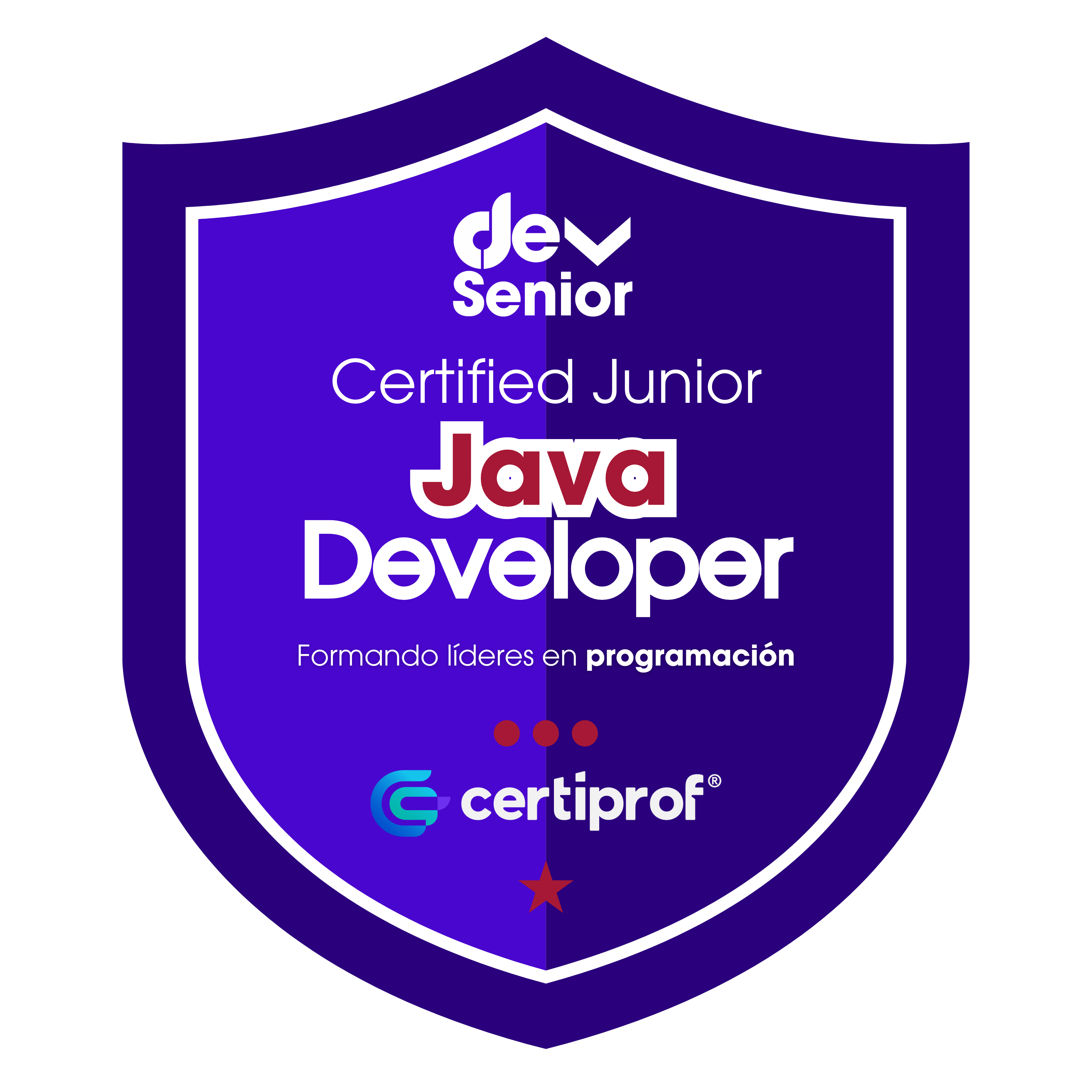 Insignia Java Junior Developer
